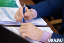 Власти Кургана введут новые KPI для мэра